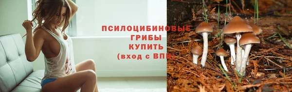 мескалин Кулебаки